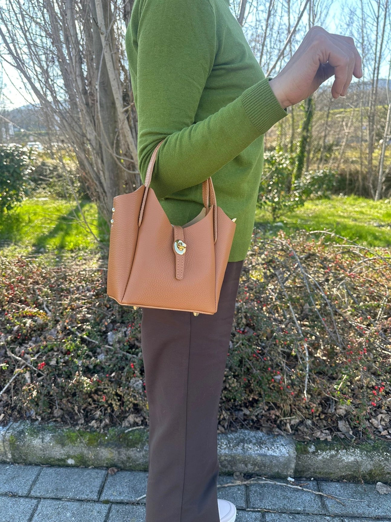 Aurelia Genuine Leather Bag
