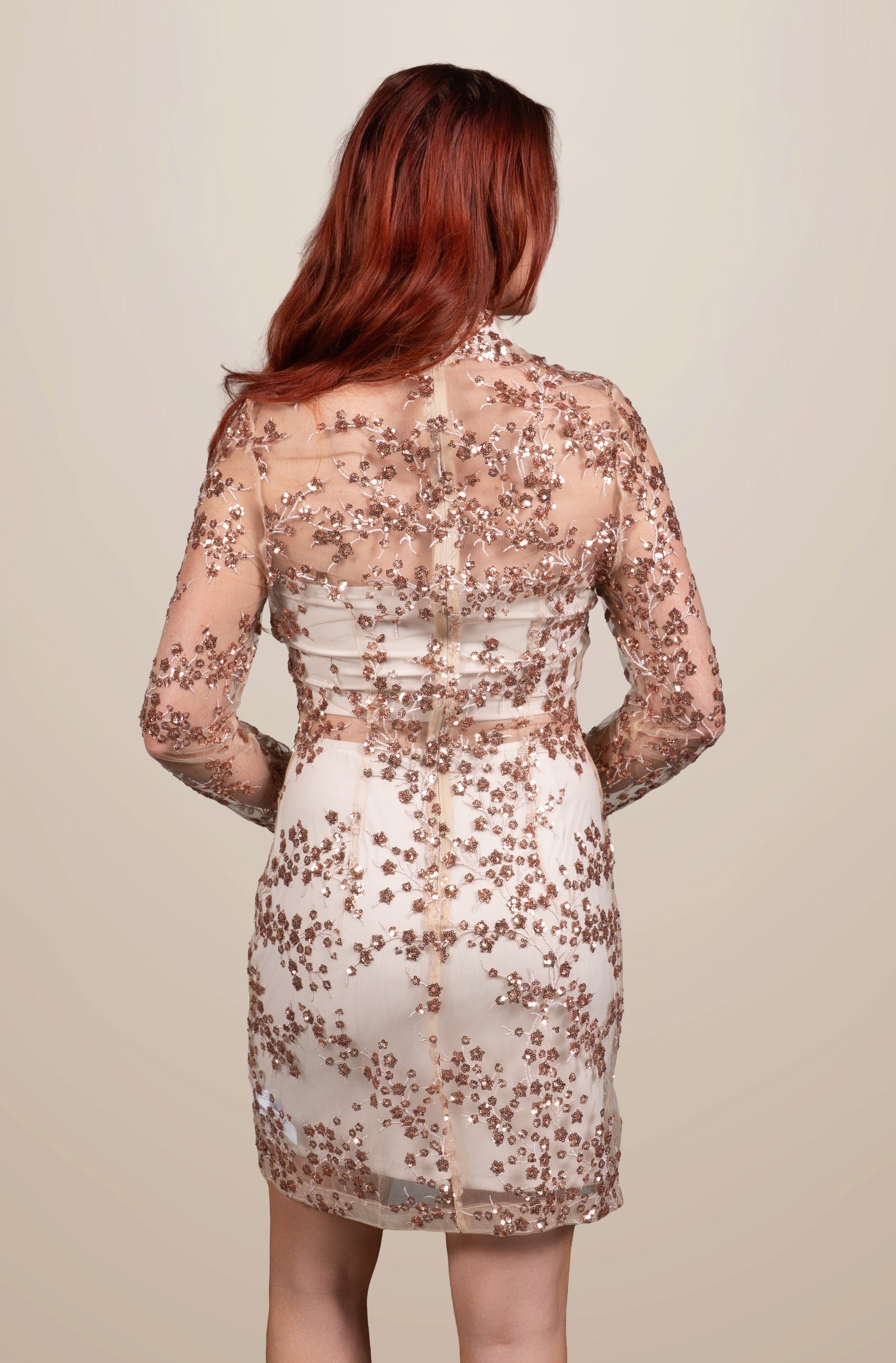 Solange Embroidered Sequin Mini Dress