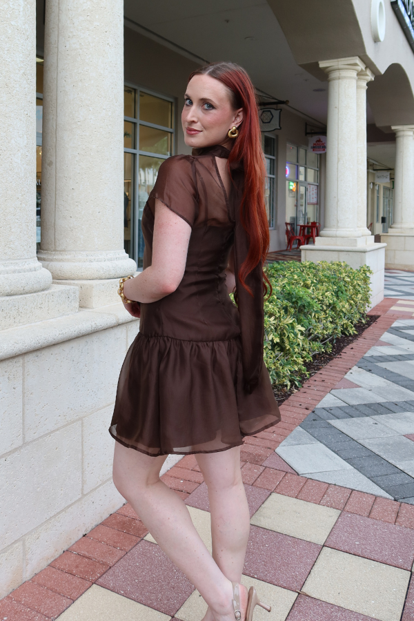 Ophelia Organza Mock Neck Mini Dress in Brown