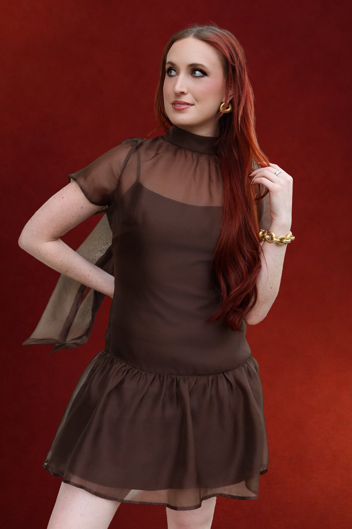 Ophelia Organza Mock Neck Mini Dress in Brown