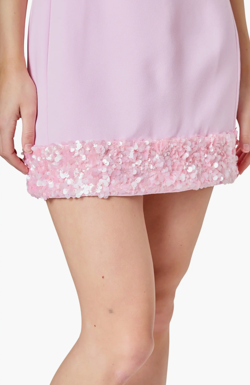 Serafina Sequin Trim Mini Dress